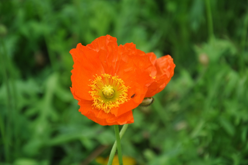 D90 161.jpg