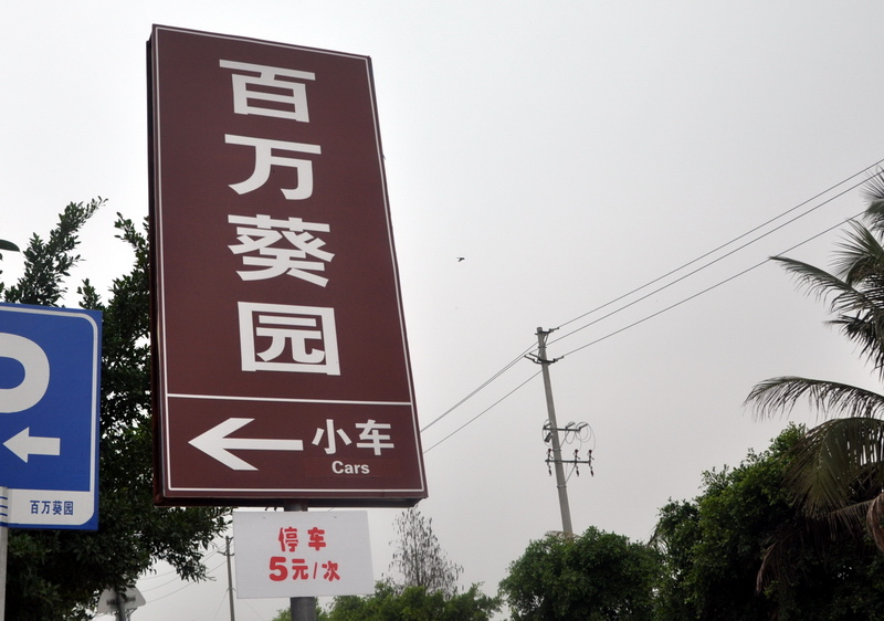 D90 086.jpg