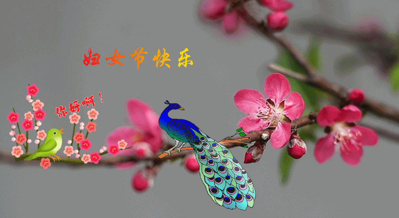 263_35917_c0d17efe8659017_conew3.gif