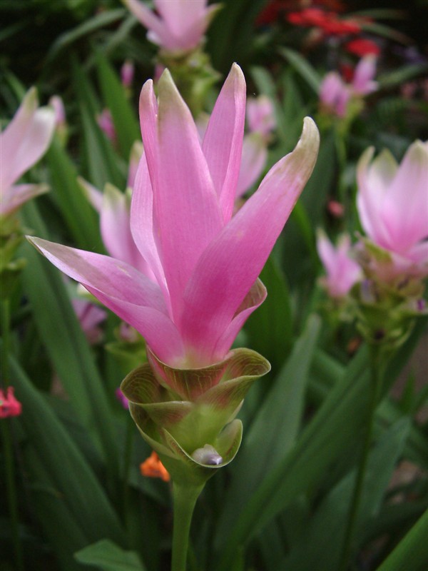 20120629095147443.jpg