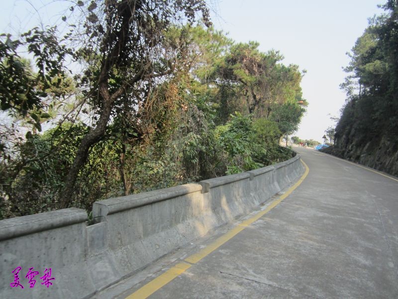 IMG_6305_conew1.JPG