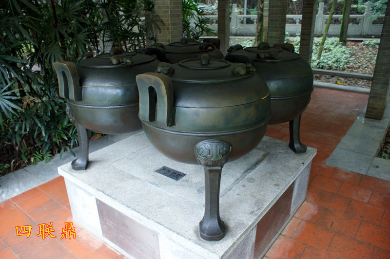 IMG_6366.jpg
