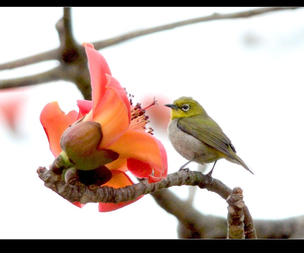 DSC_8840_conew1.jpg
