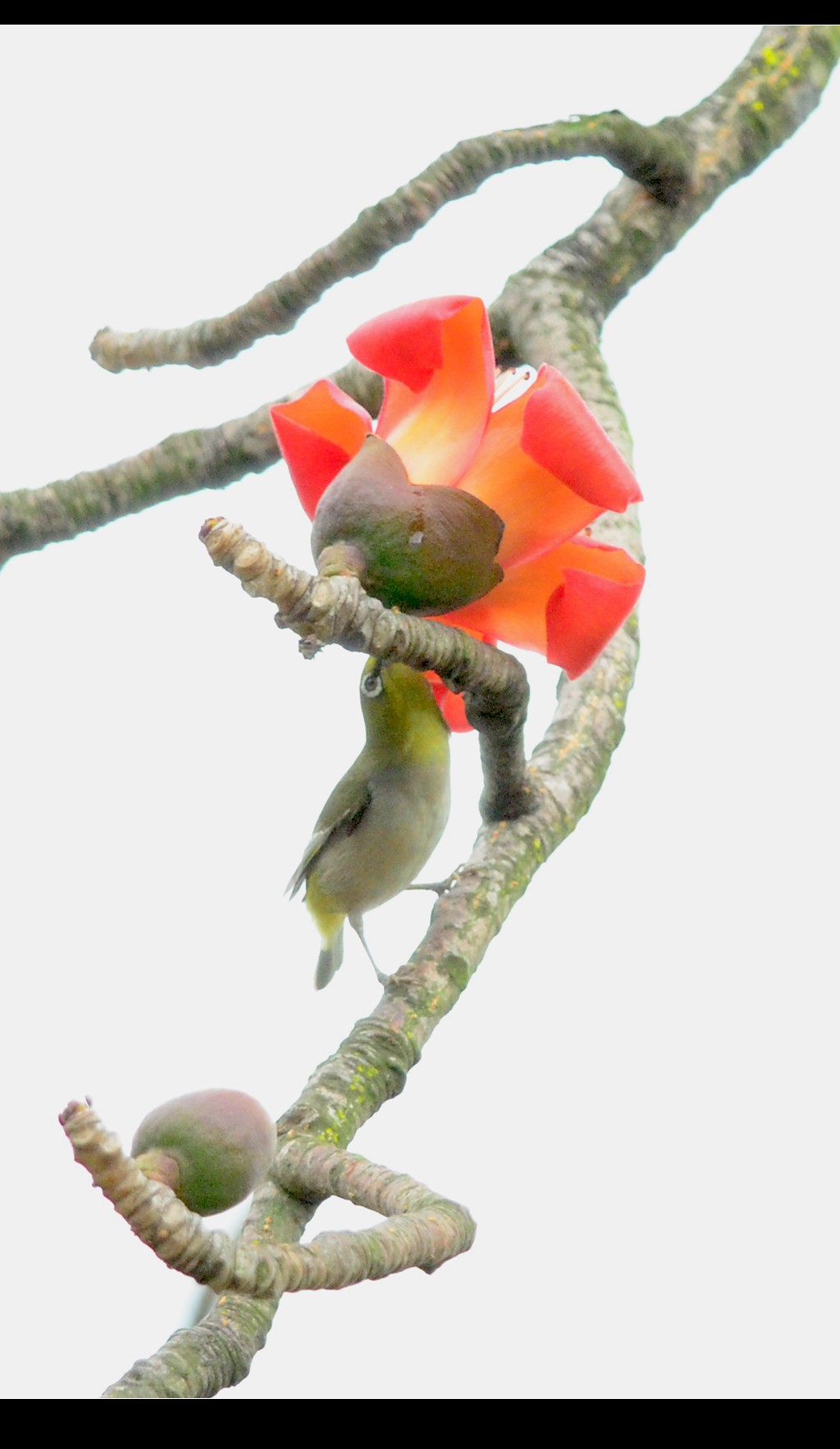 DSC_8708_conew1.jpg