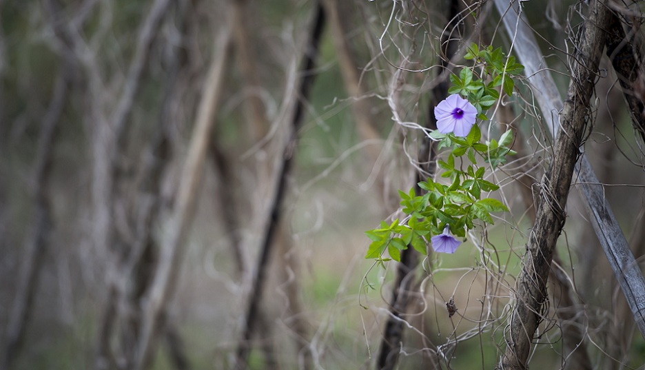 DSC_6734.jpg