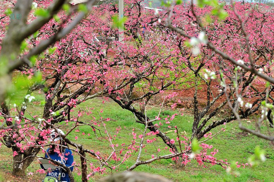 DSC_6690.jpg