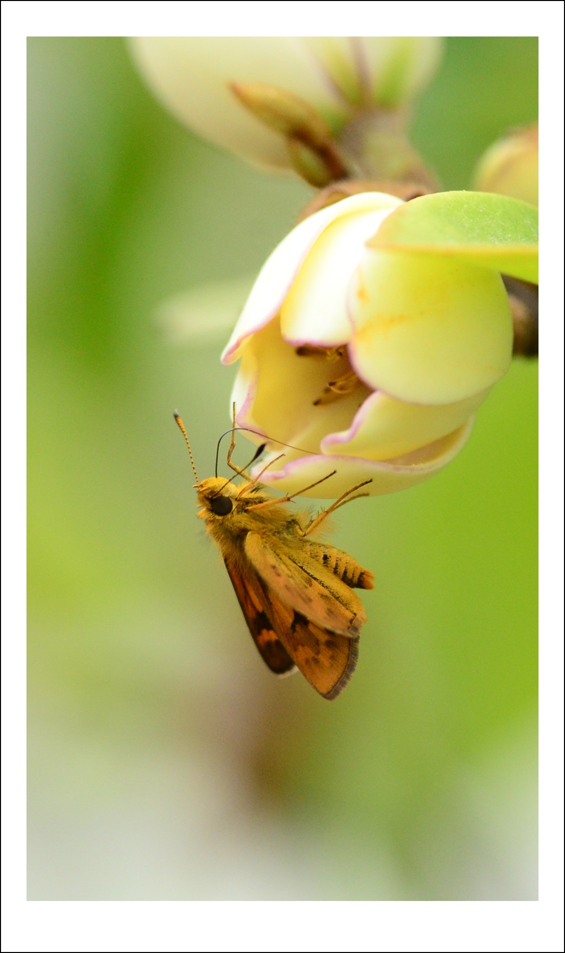 DSC_7863_conew1.jpg