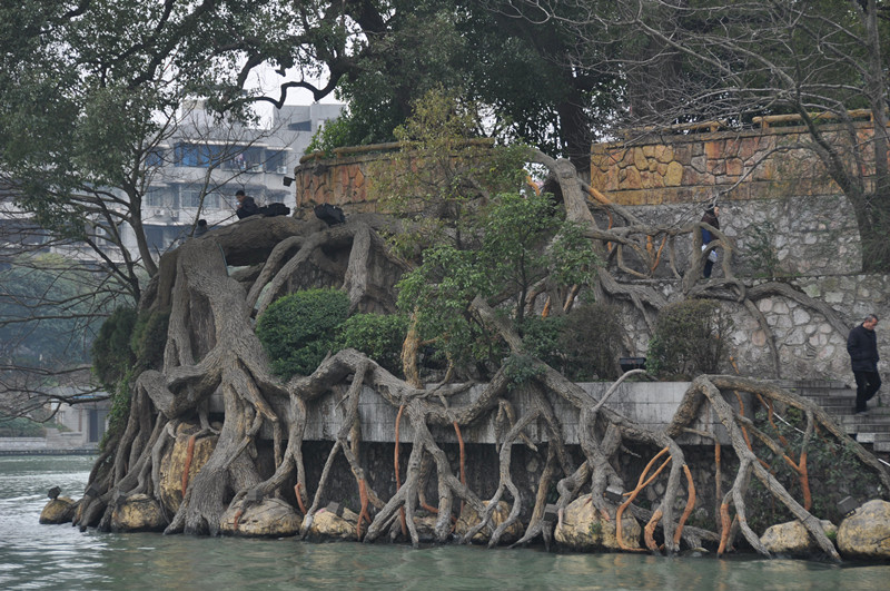 quilin china 2012 321_.jpg