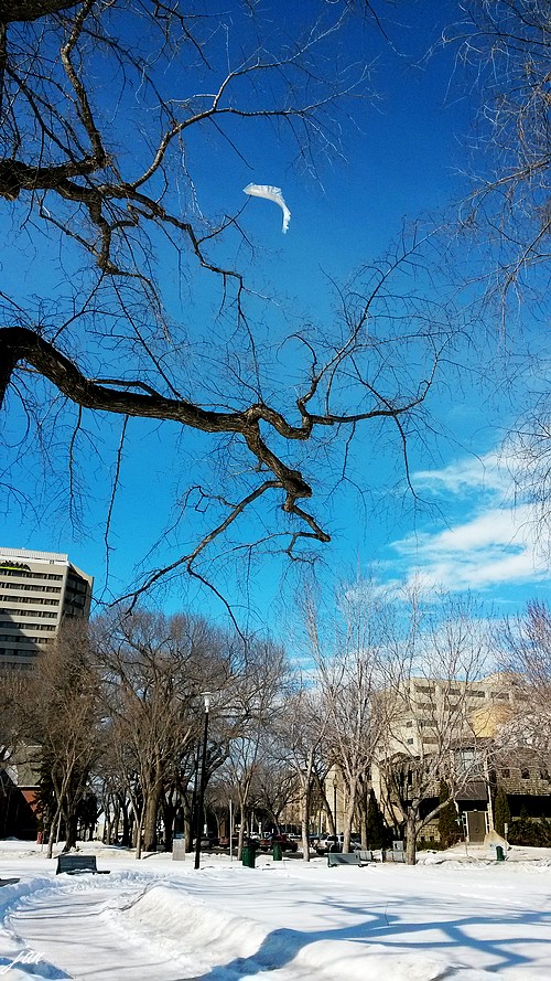 20140311_122129.jpg