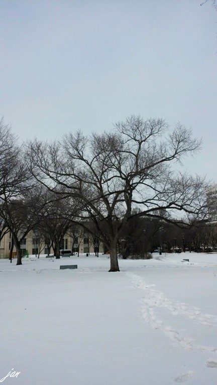 nEO_IMG_20140221_124446.jpg