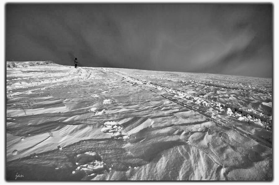 IMG_3206=3.jpg