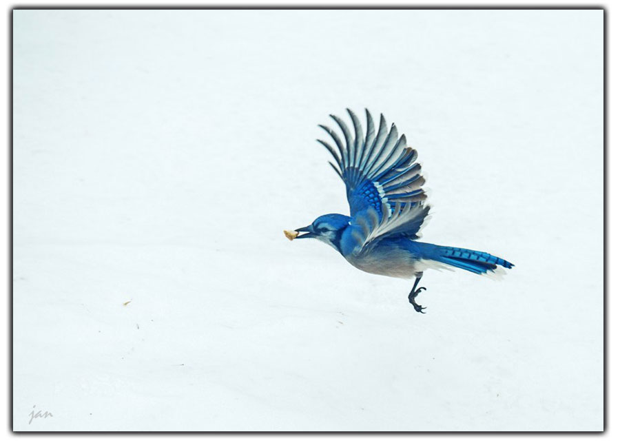 IMG_2100=.JPG