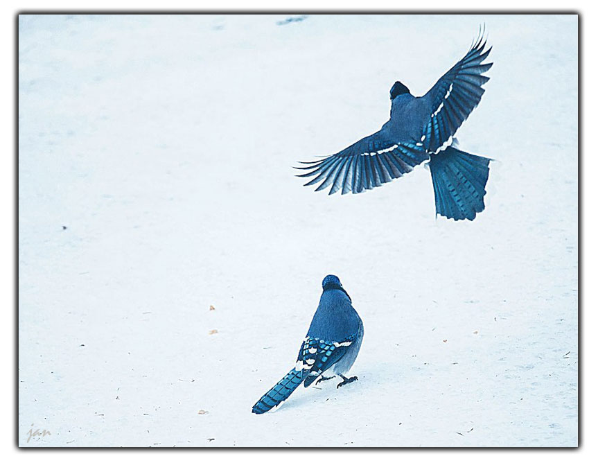 IMG_1866=.jpg