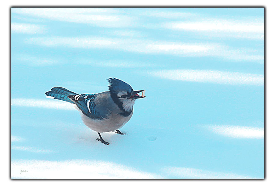 IMG_2812=.jpg