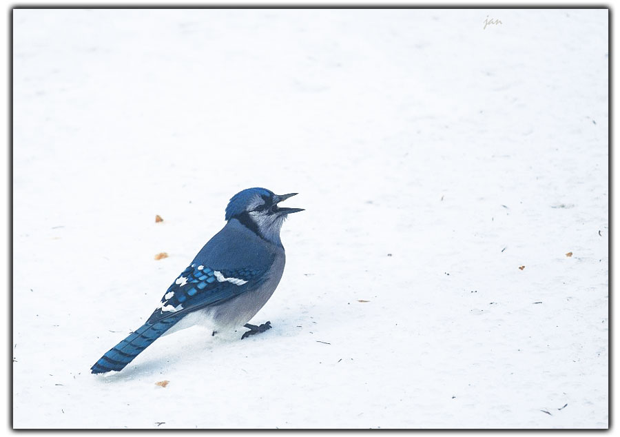 IMG_1861=.jpg