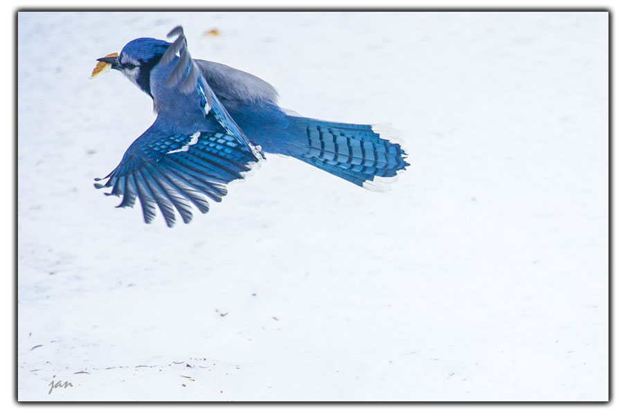 IMG_1858=.jpg