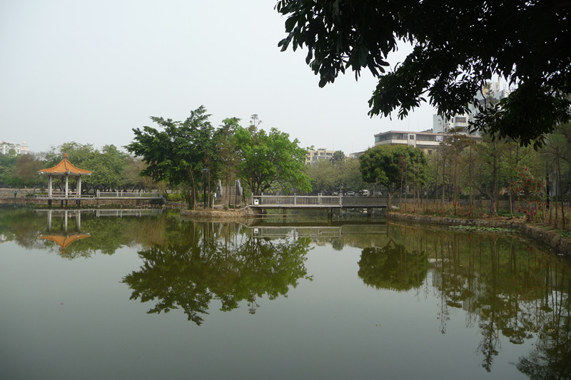 P1100612.jpg