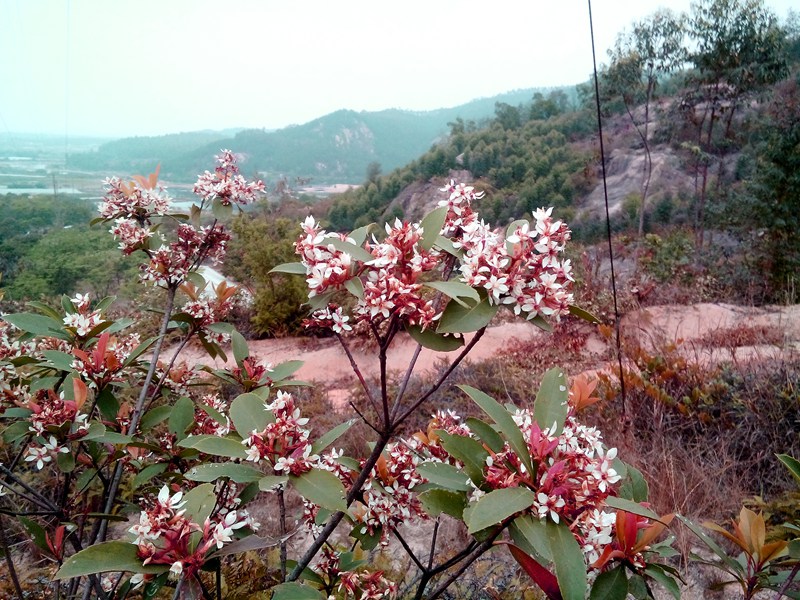 DSC_1034.jpg