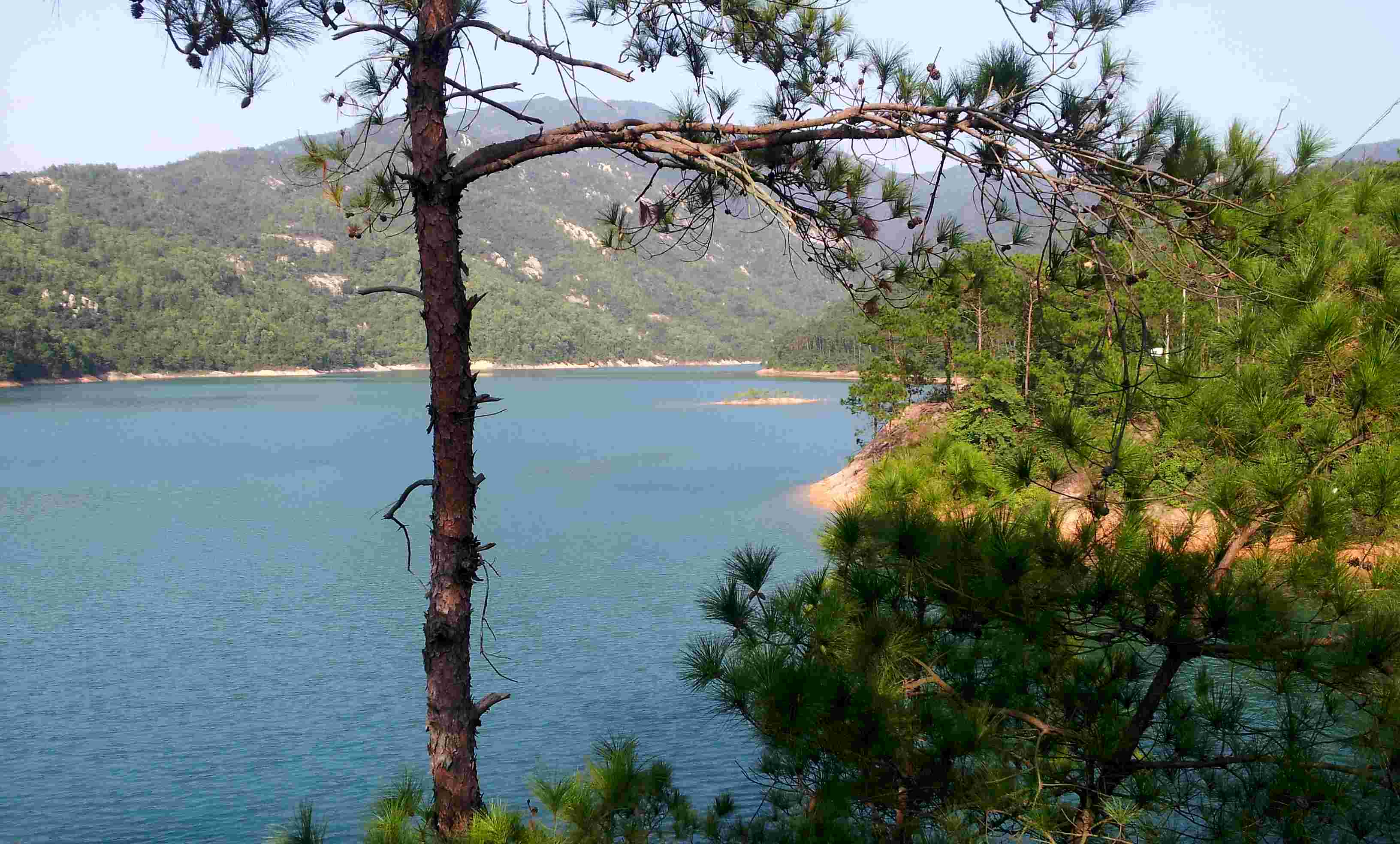 2013-10-02_16-10-06_699276_org.jpg