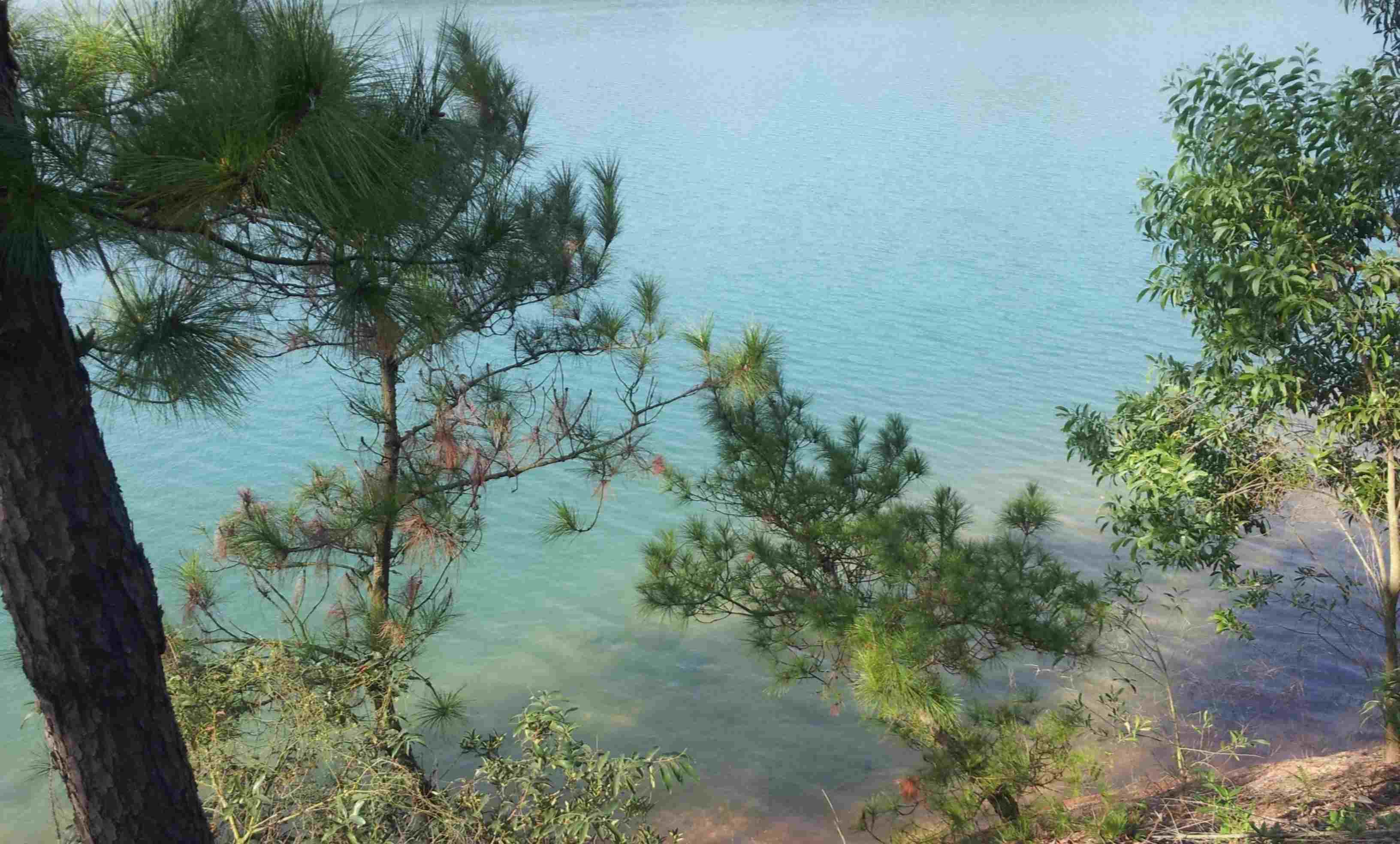 2013-10-02_16-03-44_905315_org.jpg