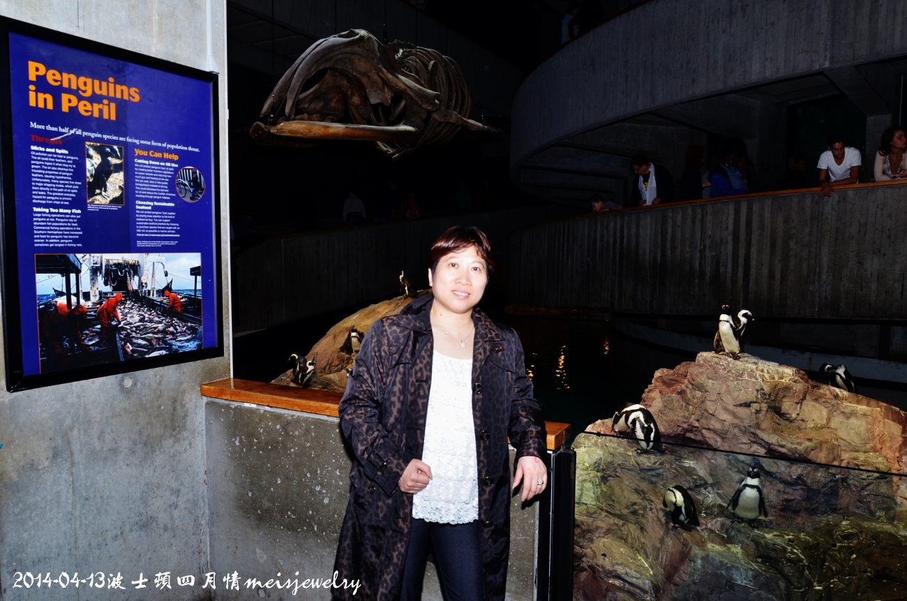 DSC_6038 (1300x861).jpg