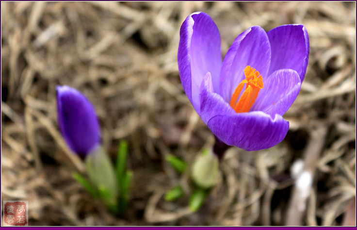 20140412 014_.jpg