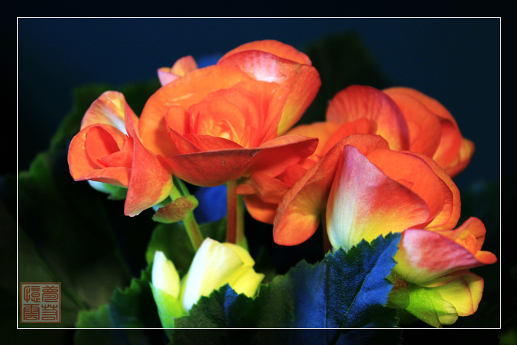 20140331 035_1.jpg