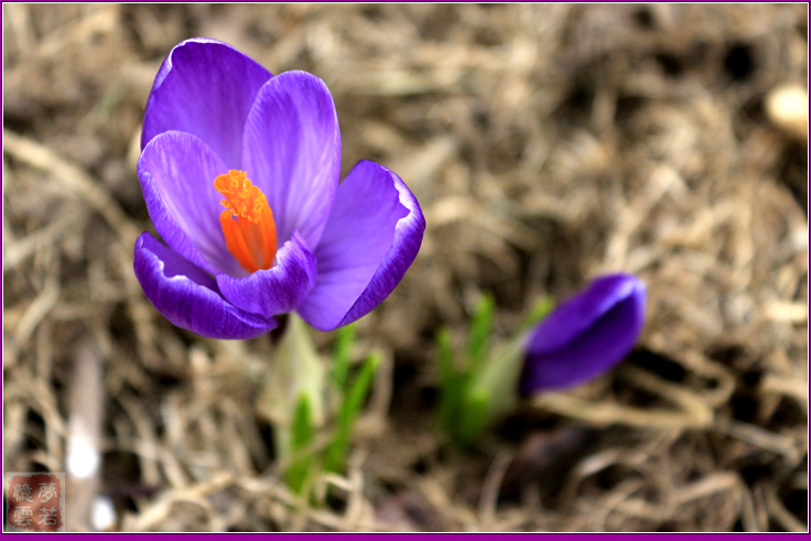 20140412 012_.jpg