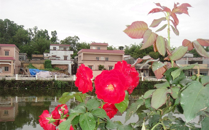 DSC00559_.jpg