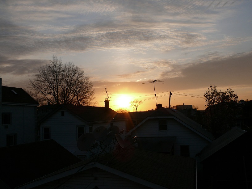 L1450203.JPG