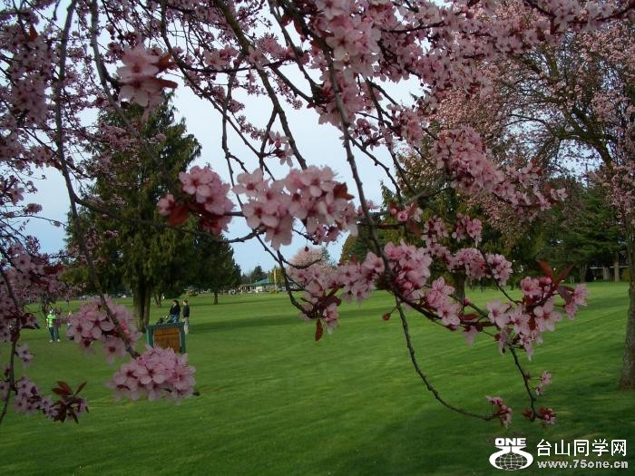 1_36256_eae1b137cbbb052[1].jpg