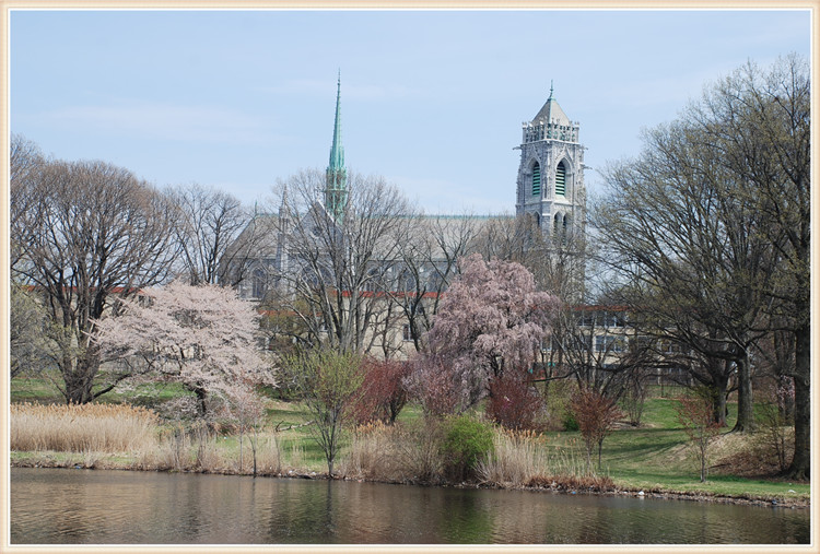 DSC_0355.jpg