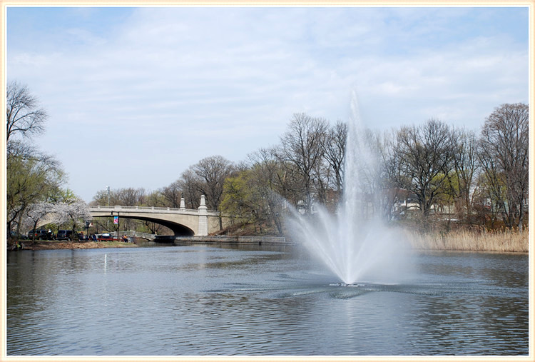 DSC_0337_.jpg