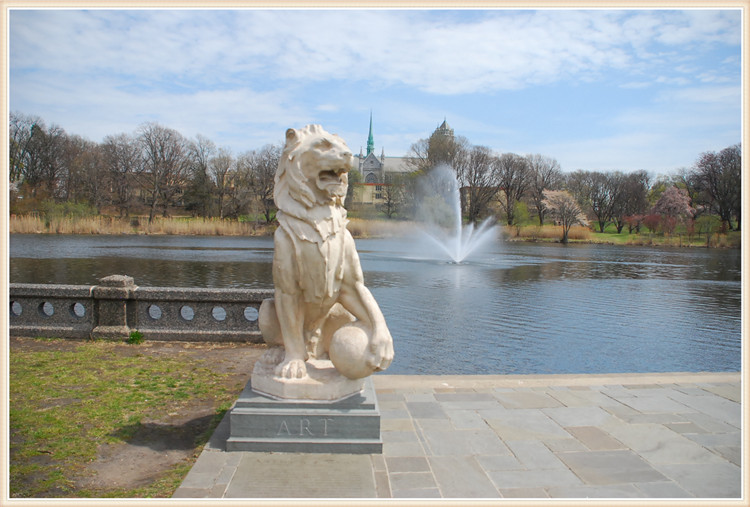 DSC_0298.jpg