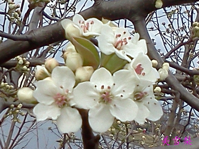 0DSC_1136.jpg