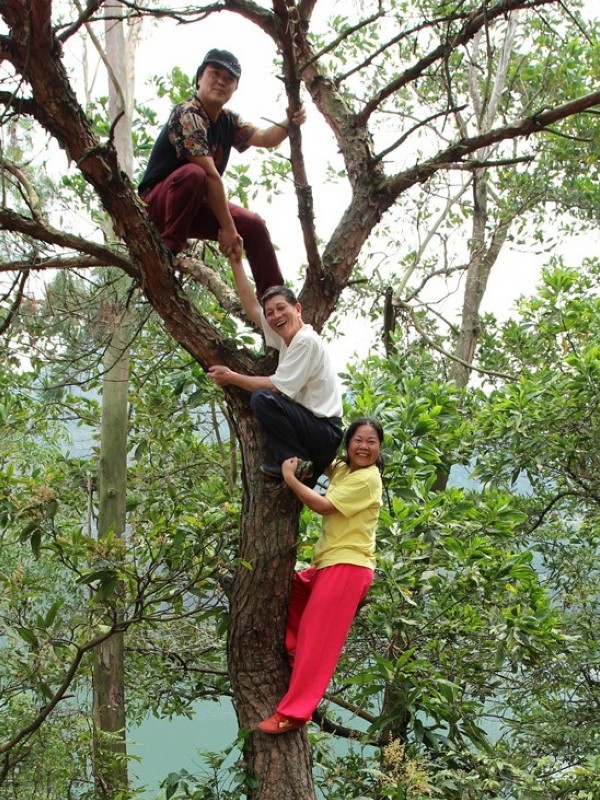 IMG_2800img.jpg
