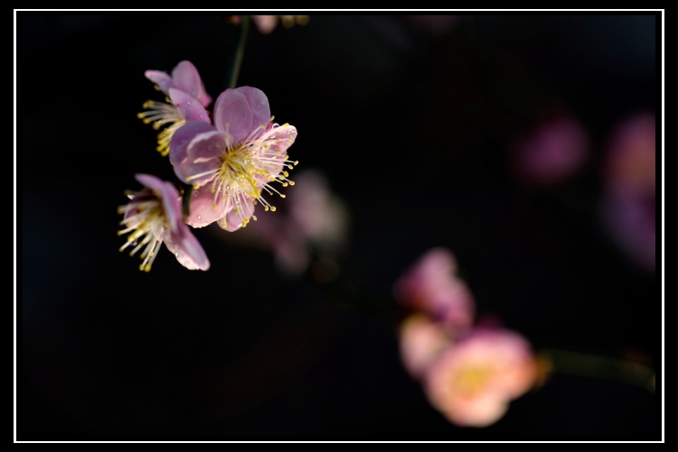 _DSC2031_02_.jpg