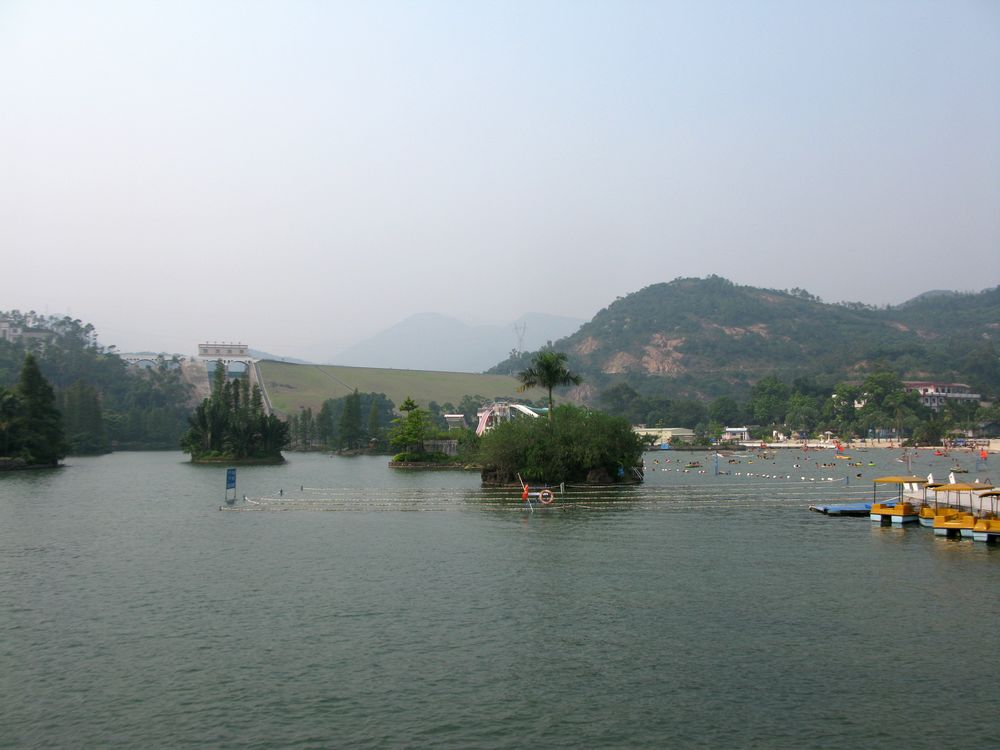 IMG_4565.jpg