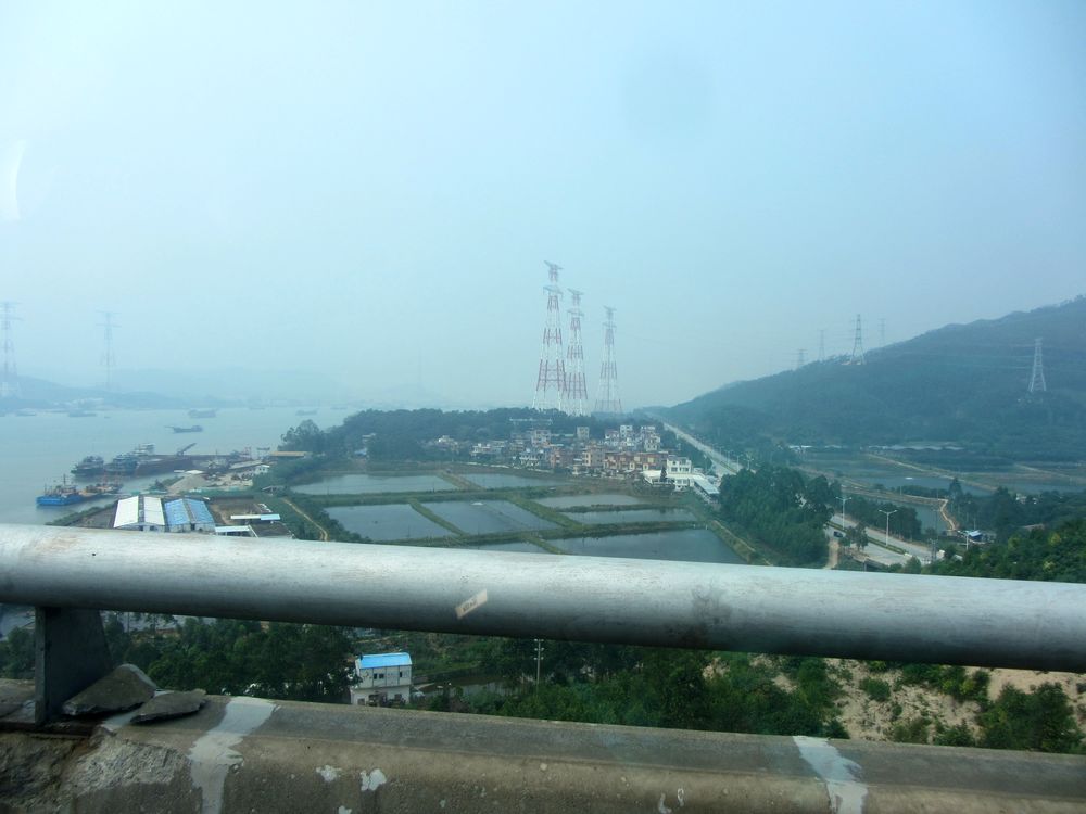 IMG_6899.jpg