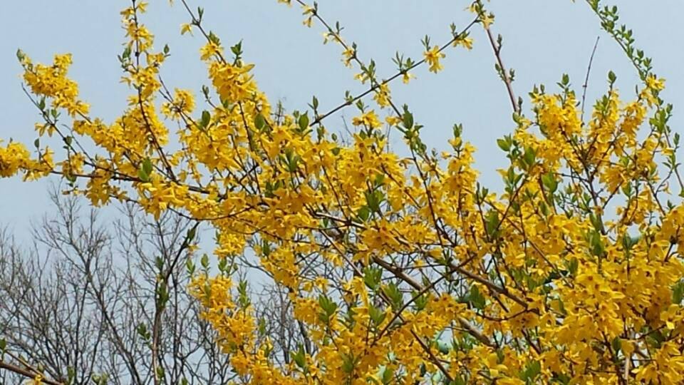 QQͼƬ20140409215712.jpg