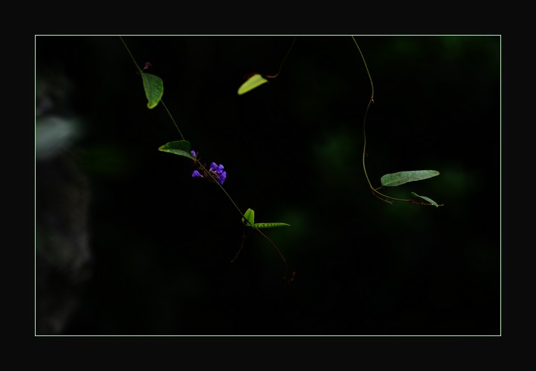 DSC_7661.jpg