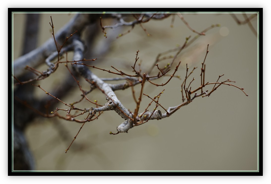 DSC_9800.jpg