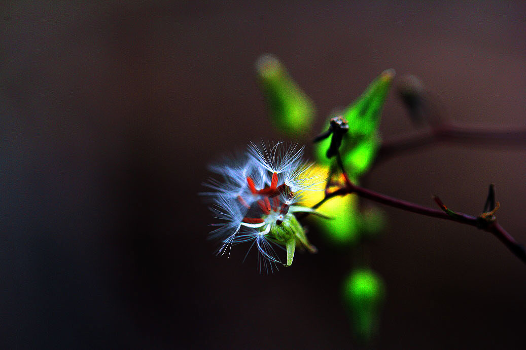 _MG_30552014--2--2.JPG