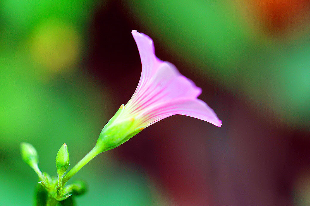 _MG_30222014--2--2.JPG