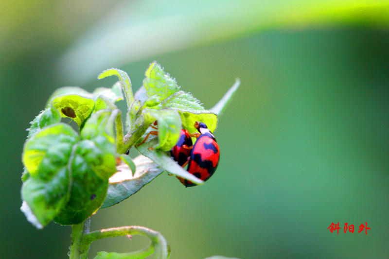 _MG_54622014--2--2-2_.jpg