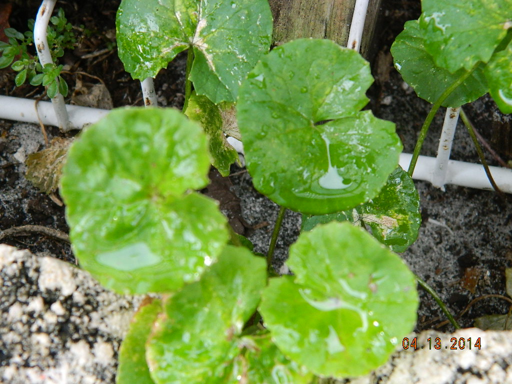 DSCN3861.JPG