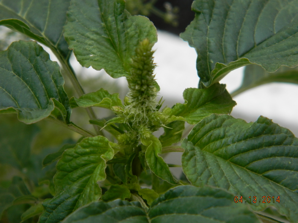 DSCN3859.JPG