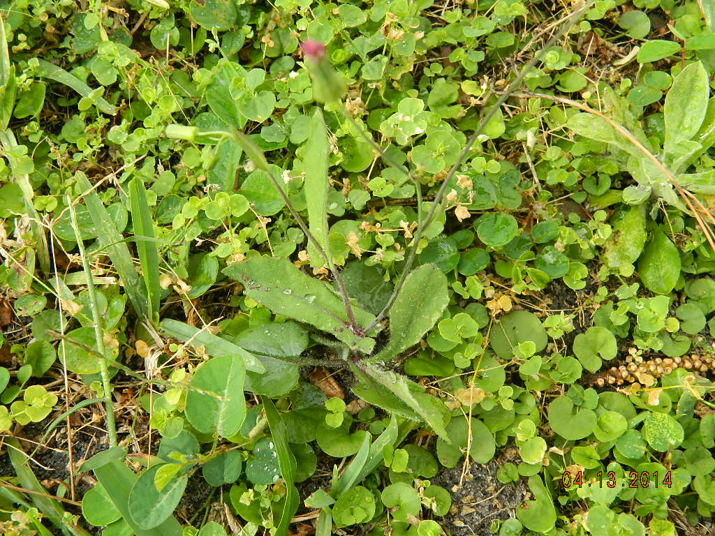 DSCN3863.JPG