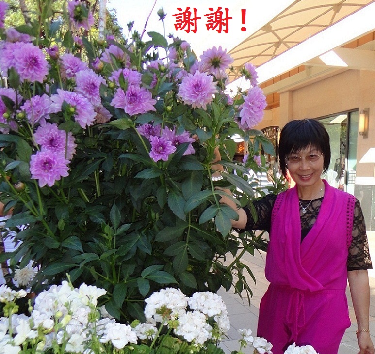 DSC02890-dz-1.jpg