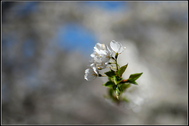 DSC_6301.JPG